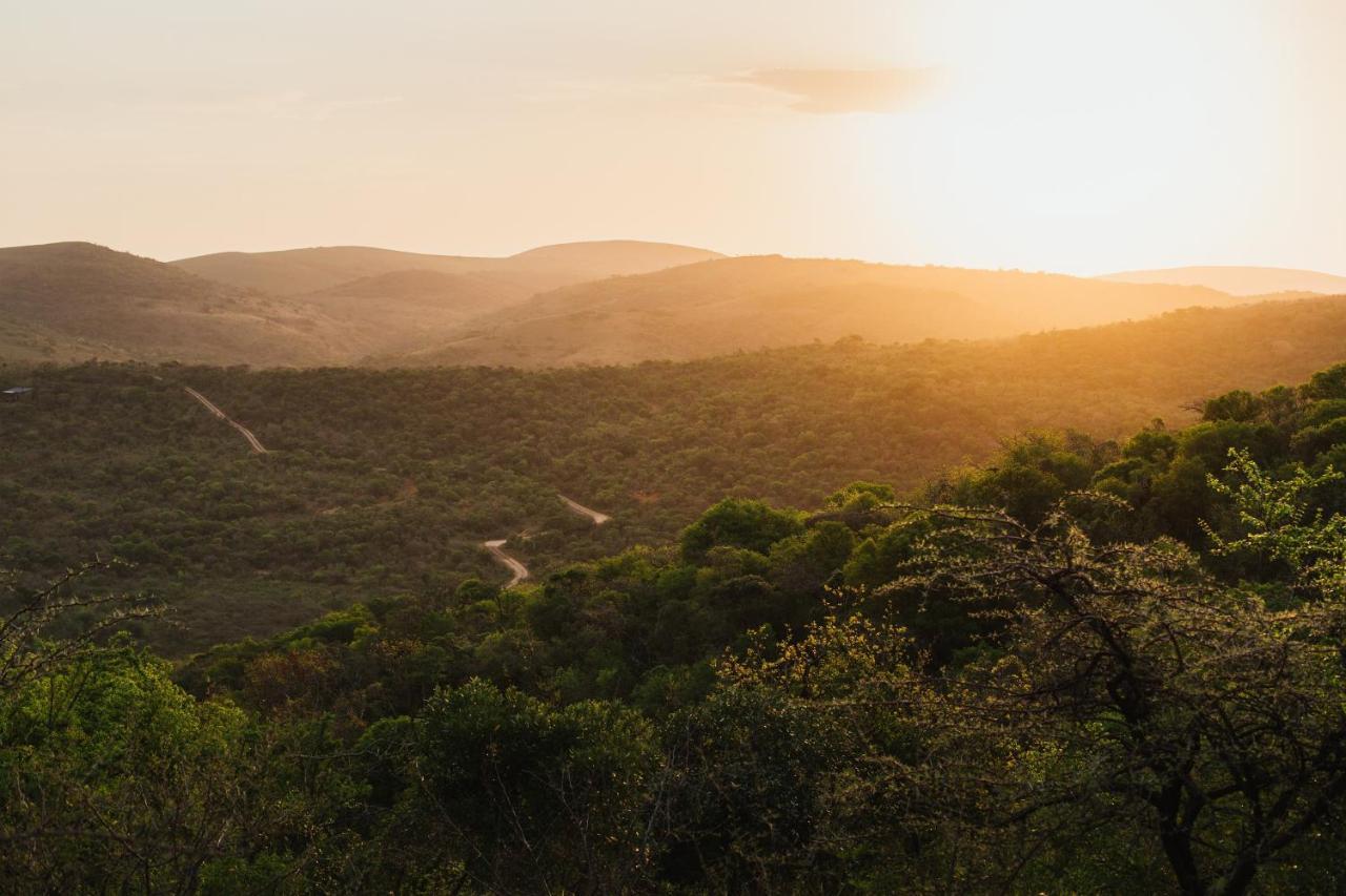 Rhino Ridge Safari Lodge KwaNompondo Kültér fotó