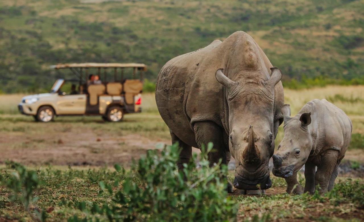 Rhino Ridge Safari Lodge KwaNompondo Kültér fotó