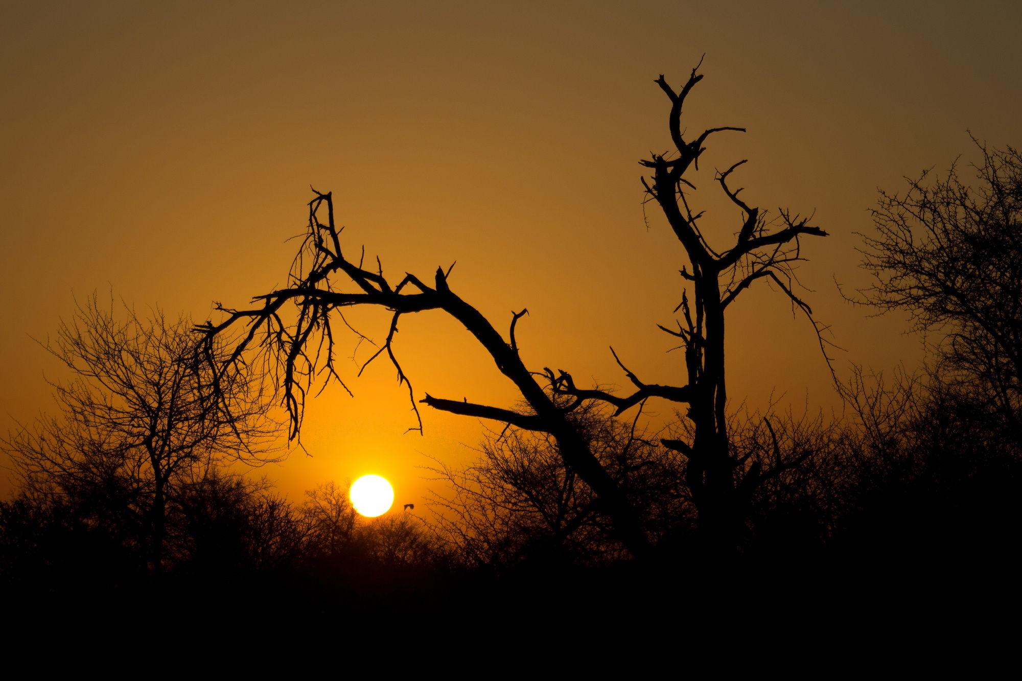 Rhino Ridge Safari Lodge KwaNompondo Kültér fotó