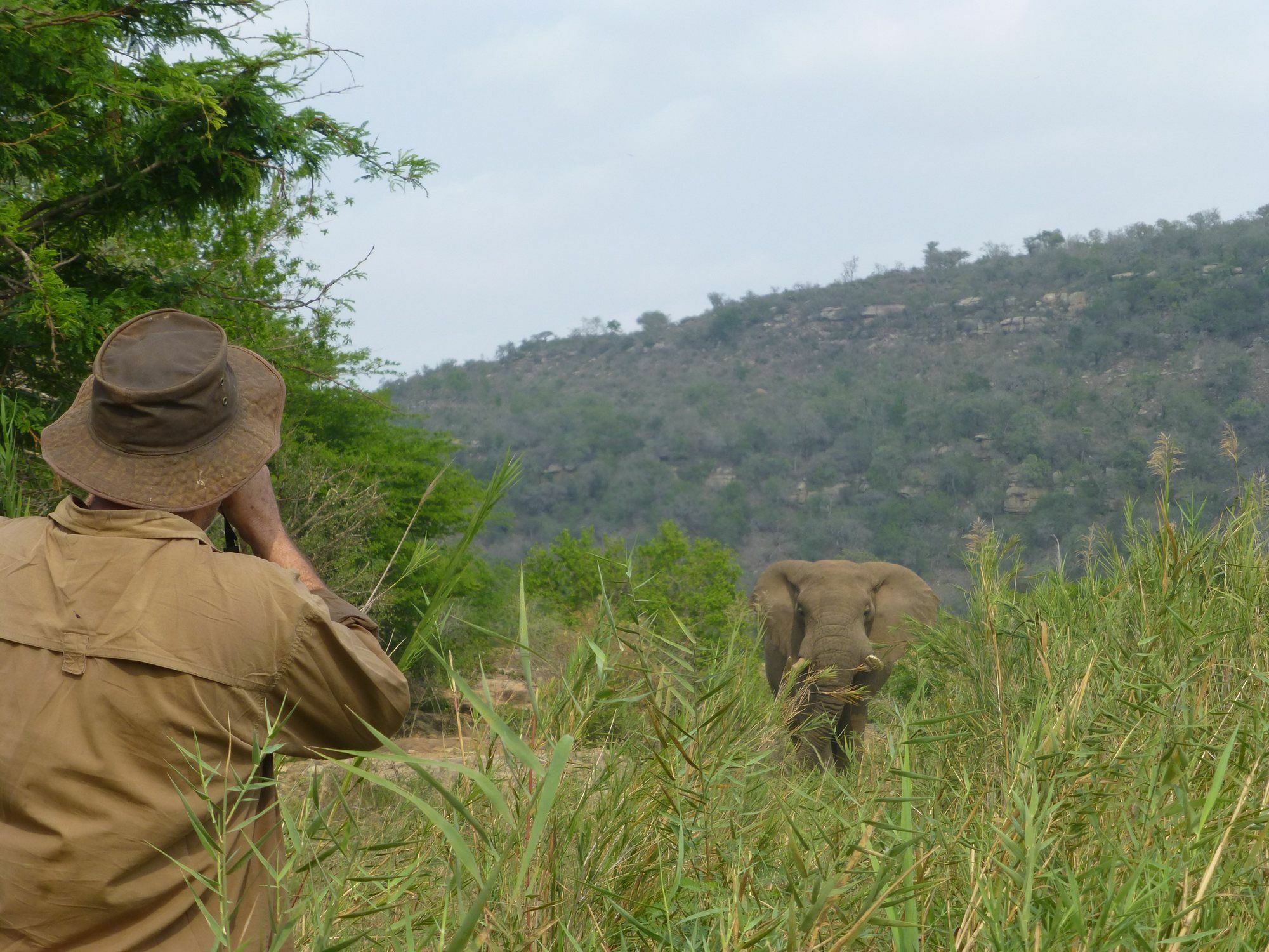 Rhino Ridge Safari Lodge KwaNompondo Kültér fotó